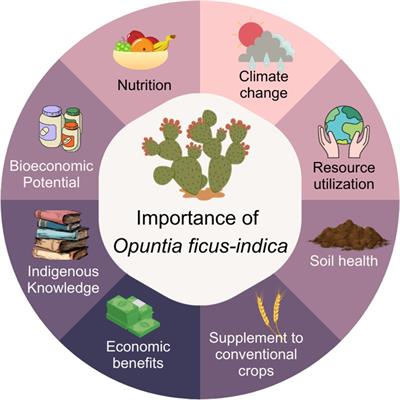 Global research landscape of cactus pear (Opuntia ficus-indica) in agricultural science
